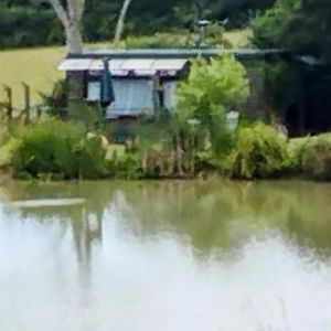 Peaceful Ensuite Lakeside Cabin 'Tench' Hadlow Down Exterior photo