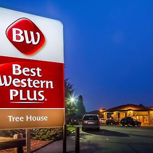 Отель Best Western Plus Tree House Маунт-Шаста Exterior photo