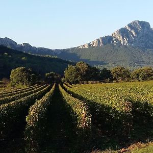 Вилла Gite Entre Cevennes Et Mediterranee Cazilhac  Exterior photo