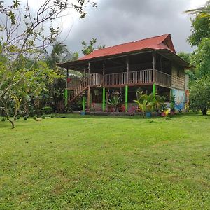 Hostal Flor Tayrona Санта-Марта Exterior photo