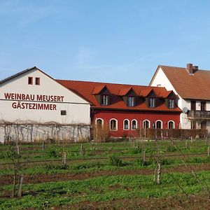 Weinbau & Pension - Familie Birgit Und Bernhard Meusert Фольках Exterior photo