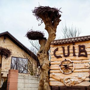 Отель Cuib Complex Turistic Capriana Exterior photo