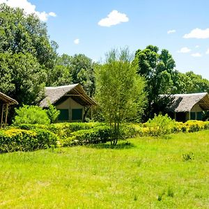 Отель Giraffe Hills Mara Camp Масаи-Мара Exterior photo