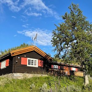 Вилла Elveseter - Log Cabin With An Amazing View Lunde  Exterior photo