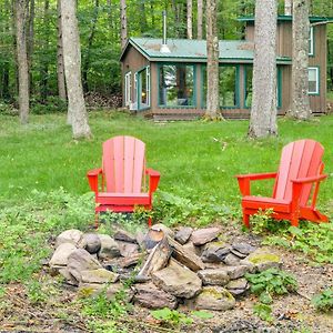 Secluded Upstate Ny Forest Cottage On 33 Acres! Онеонта Exterior photo
