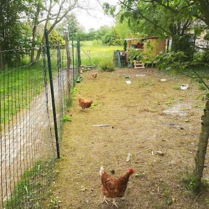 Вилла La Ferme Du Petit Chavernay Meslay-le-Vidame Exterior photo