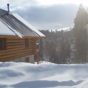 Вилла Chalet Bois Rond Aux Paysages Uniques Avec Spa ! Lac-aux-Sables Exterior photo