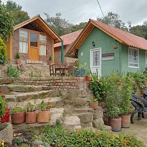 Hospedaje - Cabanas Villa Rosita Монги Exterior photo