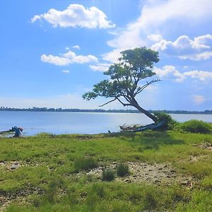 Lake Scape Yala Safari Inn Тиссамахарама Exterior photo