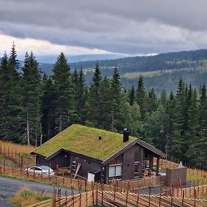 New Cabin With Jacuzzi, Sauna And Ski Inout Свингволл Exterior photo