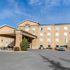 Comfort Inn & Suites Эйрдри Exterior photo