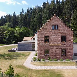 Вилла Les Jardins Du Nideck Oberhaslach Exterior photo