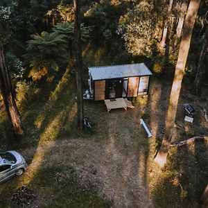 Вилла Quantum Field By Tiny Away Toolangi Exterior photo