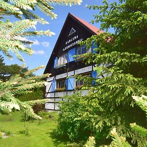 Bed and Breakfast Karczma Lesniczanka Wielbark Exterior photo