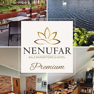 Hotel Nenufar Premium Косьцян Exterior photo