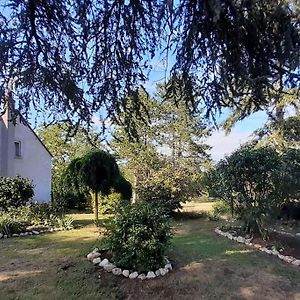 Gite Le Vieux Moulin Saint-Dye-sur-Loire Exterior photo