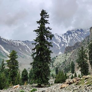 Rakaposhi Amin Hotel & Restaurant Pissan Hunza Nagar Gilgit Baltistan Exterior photo