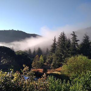 Вилла Les Deux Voutes - Gite En Cevennes Сент-Андре-де-Майен Exterior photo