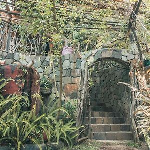 Earthship Amazing Cabins With Lake View Сан-Маркос-ла-Лагуна Exterior photo