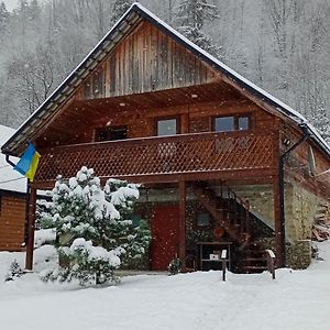 Вилла Під Горою Шешоры Exterior photo