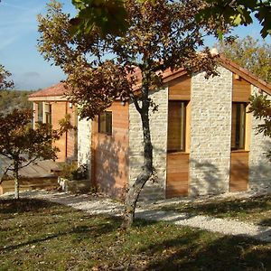 Вилла Gite Des Camazets Avec Piscine Trespoux-Rassiels Exterior photo