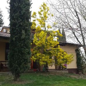 Villa Mimosa Медезано Exterior photo
