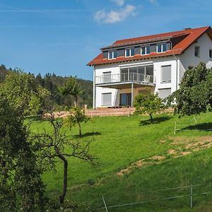 Апартаменты Gruenewaldhof In Rimbach Im Odenwald Exterior photo