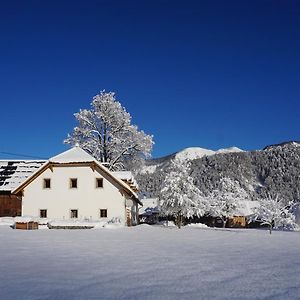 Апартаменты Ferien Am Land - Waldbauer Рослайтен Exterior photo