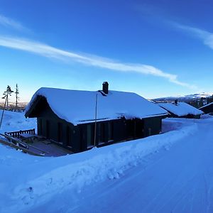 Вилла Modern Och Bekvaem Hytte Naera Gaustatoppen, 3 Sovrum 9 Baeddar Gaustablikk Exterior photo