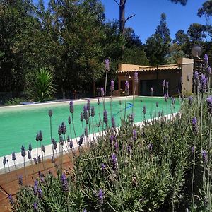 Вилла Con Piscina A 3 Cuadras De La Playa Balneario Argentino Exterior photo