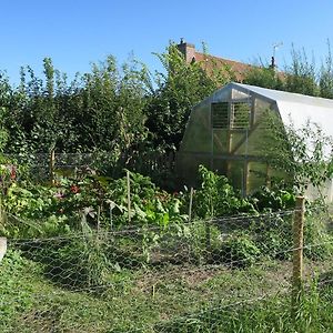 Вилла Les Jardins D'Olus Wandignies-Hamage Exterior photo