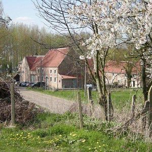 Bed and Breakfast De Verborgen Parel Борглон Exterior photo