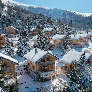 Апартаменты Chalet Montana Royal Xl Koralpe Hartelsberg Exterior photo