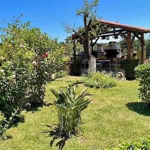 Villa Toula With Pool Nr Armeni Crete Makhairoi Exterior photo