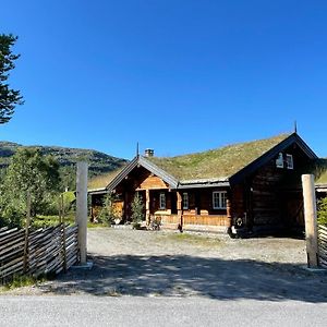 Вилла Solsetra - Mountain Majesty Family Log Cabin Ховден Exterior photo