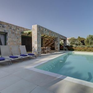 Вилла Ouzo Stone House 2 With Private Pool Пломарион Exterior photo