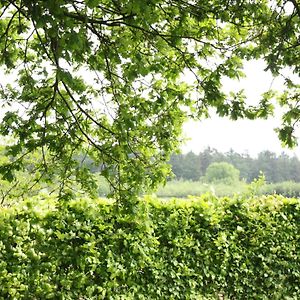 Вилла Peaceful Farmhouse In Doorn Near Forest Exterior photo