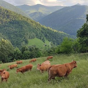 Вилла La Grange De L'Ours Сен-Лари Exterior photo