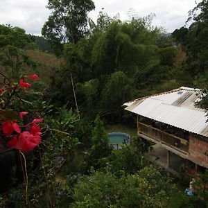 Alojamiento Rural Pajaros Y Flores Лос-Андес Exterior photo