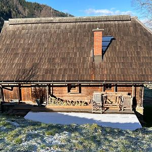 Charmantes Gaestehaus Am Waldrand In Alpiner Lage Siehe Auch Zweites Objekt Gaestewohnung In Altem Bauernhaus Stanz Im Murztal Exterior photo