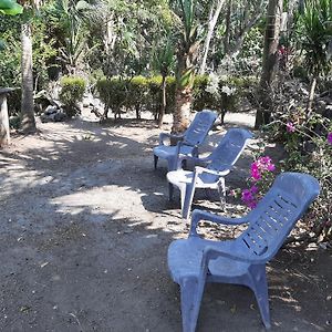 Апартаменты Playa Casa Nohelia Санто-Доминго Exterior photo