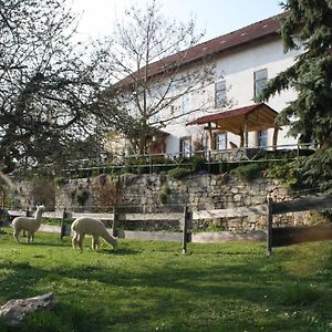 Апартаменты Urlaub Auf Dem Bauernhof, Mit Schlossblick Dornburg  Exterior photo