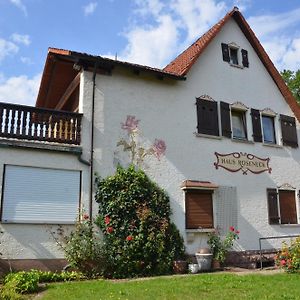 Апартаменты Haus Roseneck Бад-Киссинген Exterior photo