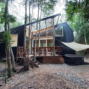 Вилла En Bosque, Con Rio, Sin Vecinos Y Wifi Starlink Puelo River Exterior photo