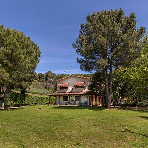 El Bosque De La Herrezuela Гисандо Exterior photo