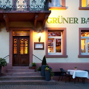 Hotel & Restaurant Gruener Baum Merzhausen Фрайбург Exterior photo