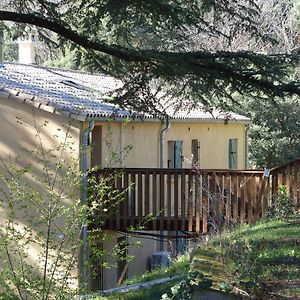 Вилла Le Murmure Des Cedres - Gite En Cevennes Сент-Андре-де-Майен Exterior photo