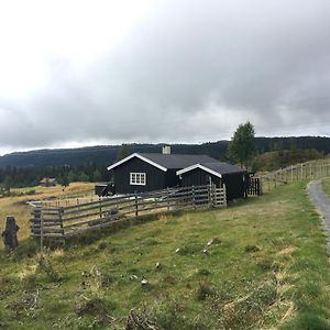 Einkjerrbu Cabin By Norgesbooking - Свингволл Exterior photo