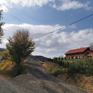 Отель Cabana Valea Popii Sita Buzaului Exterior photo