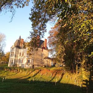 Le Chateau Du Grand Coudray Виллен-ла-Жюель Exterior photo